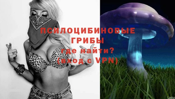 спайс Заволжье