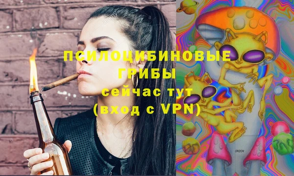молекула духа Ельня