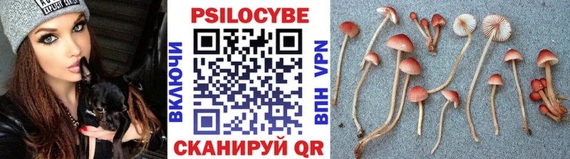 Псилоцибиновые грибы GOLDEN TEACHER  сколько стоит  Калачинск 